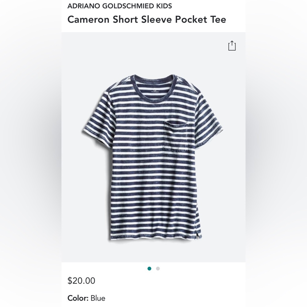 Stitchfix Adriano Goldschmied Cameron Stripe Pocket Tee